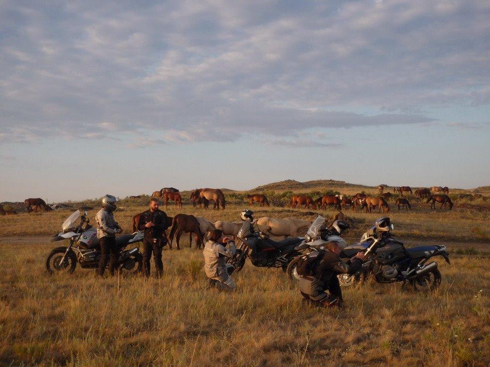 BMW F800 GS billede 21