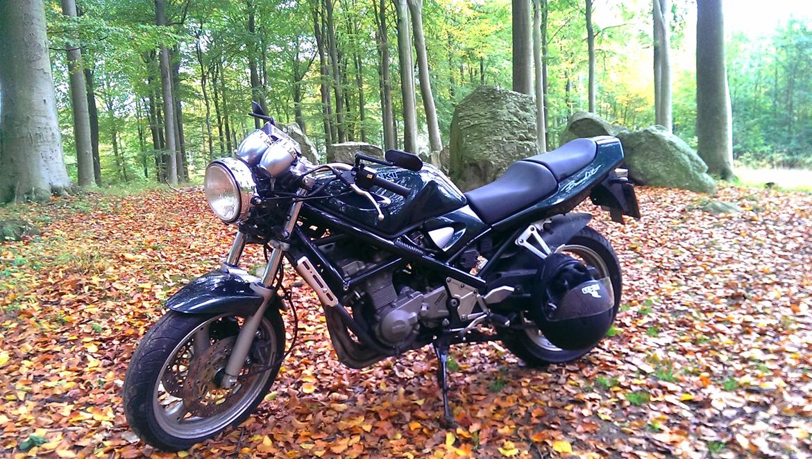 Suzuki GSF 400 Bandit billede 3