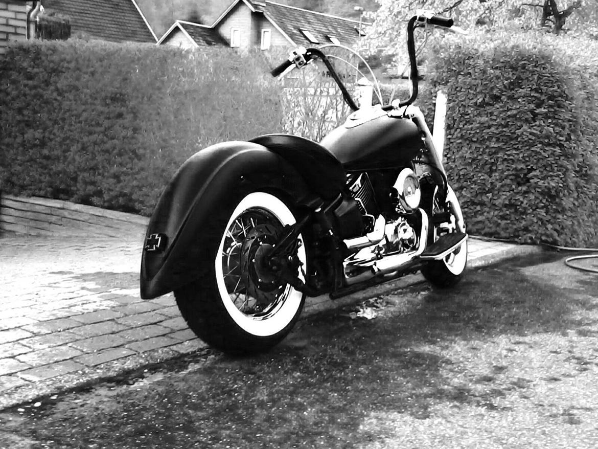 Yamaha Xvs Dragstar  billede 12