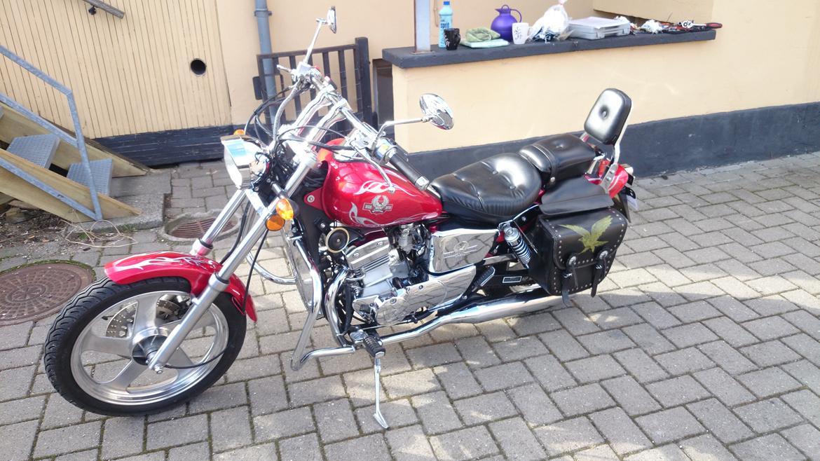 Regal Raptor DD 250 - 9B billede 1