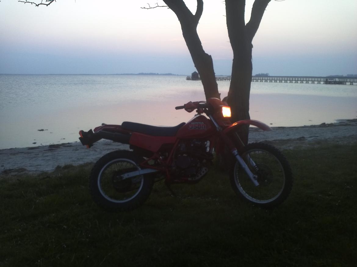 Honda XL350 billede 9