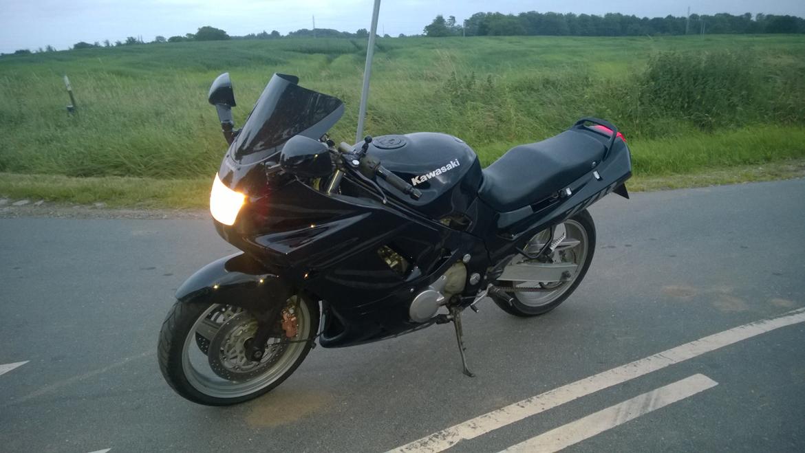 Kawasaki ZZR 600 (zx600d) billede 20