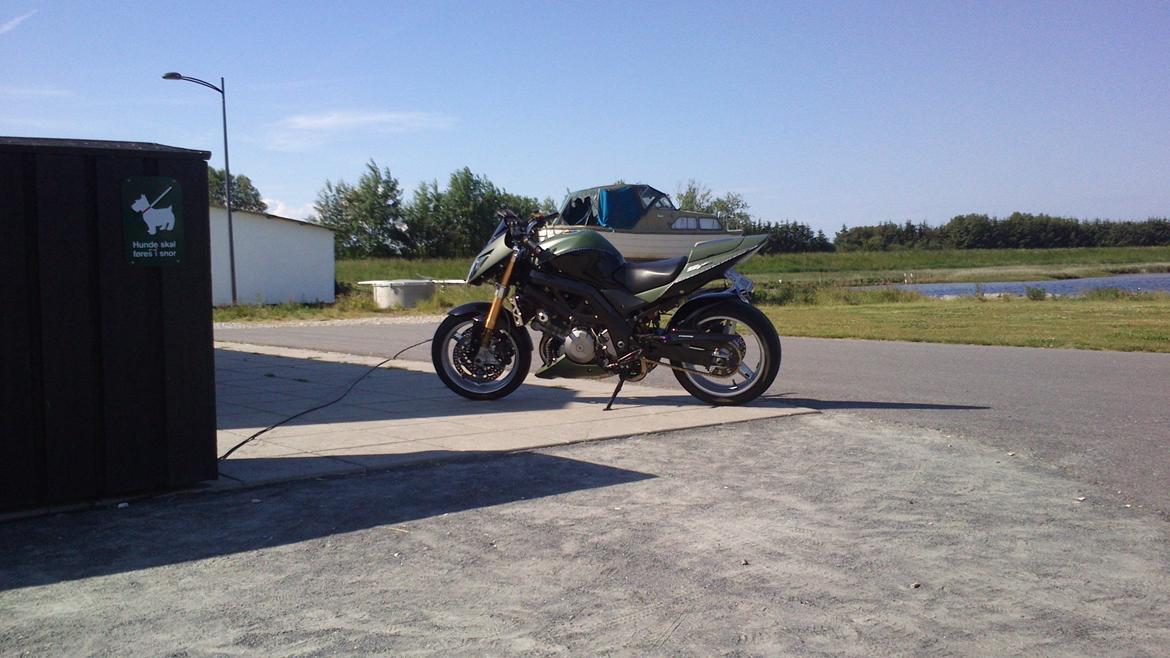 Suzuki SV 996 Standard - 2013 billede 4