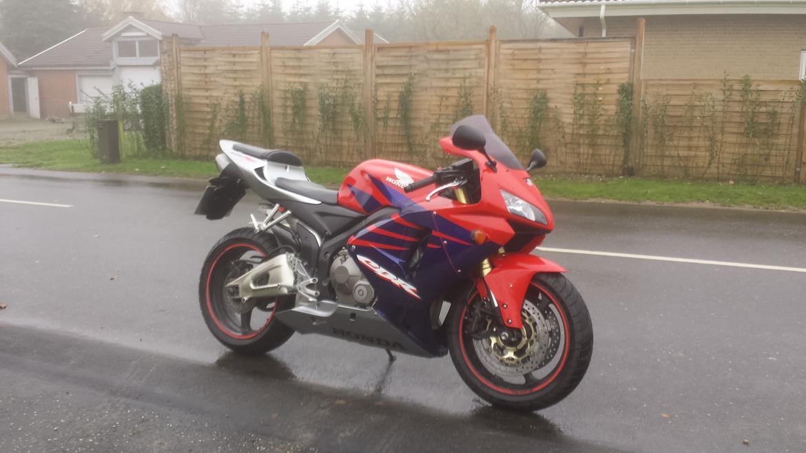 Honda CBR 600 RR billede 2