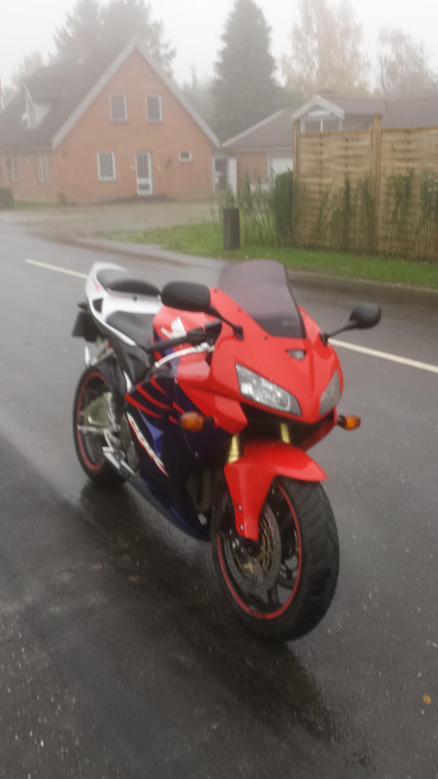 Honda CBR 600 RR billede 3