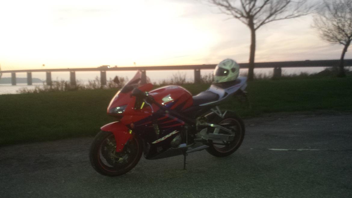 Honda CBR 600 RR billede 4