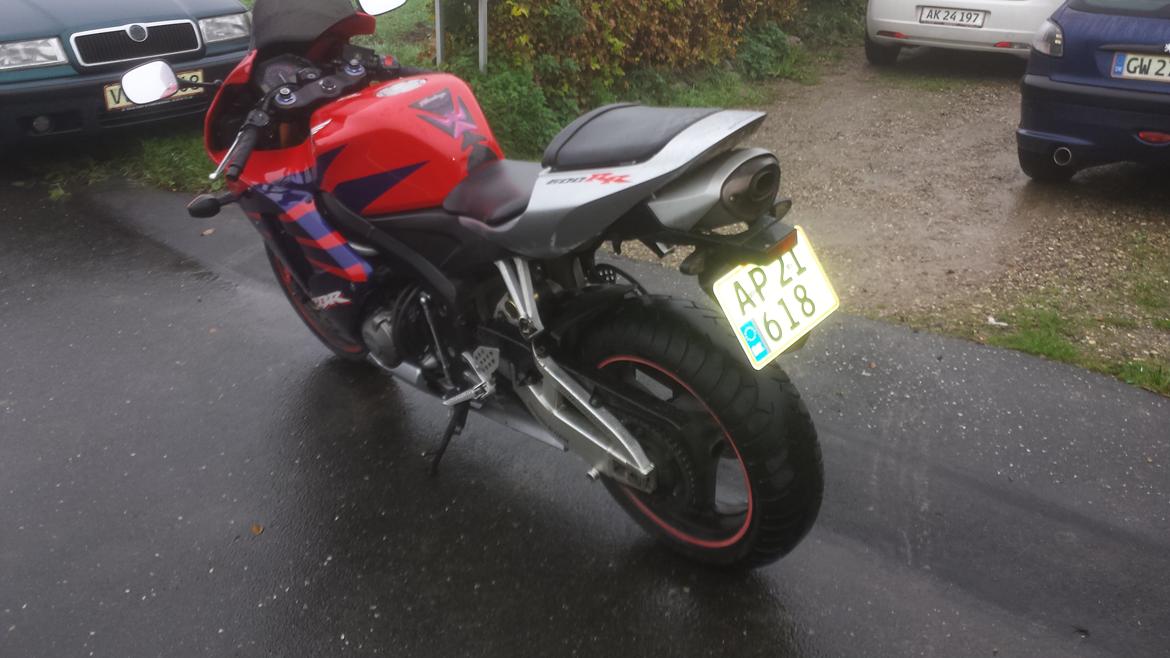 Honda CBR 600 RR billede 5