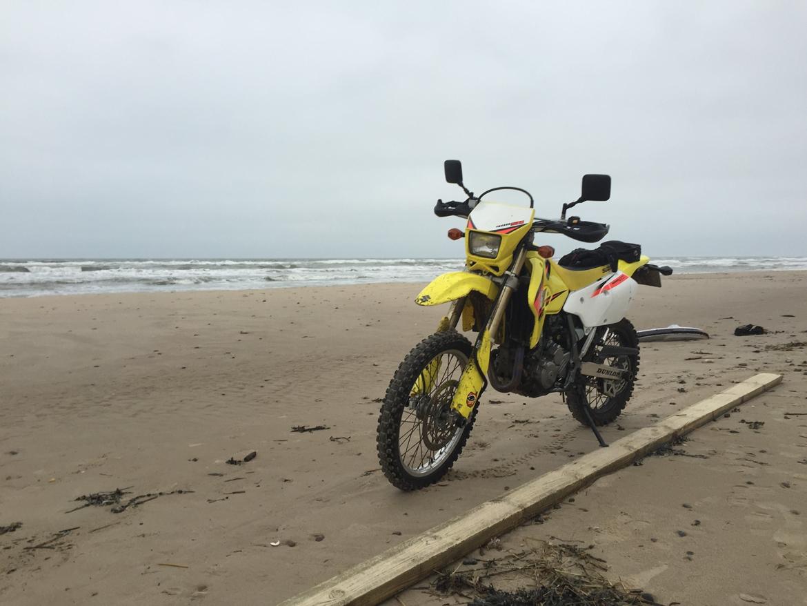 Suzuki drz-400 sm  billede 3