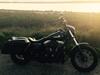 Harley Davidson Streetbob