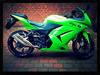 Kawasaki Ninja 250 r