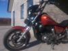 Honda VT 1100 C - Shadow [Tidl. motorcykel]