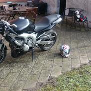 Yamaha FZ-6 N