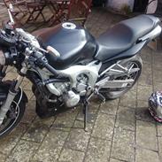 Yamaha FZ-6 N