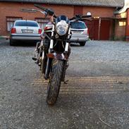 Suzuki Bandit 600 (GSF)