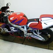 Honda CBR 900 RR Fireblade (919 cc)