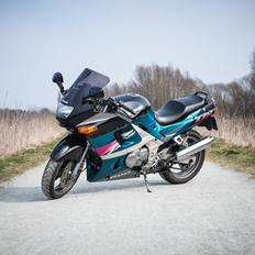 Kawasaki ZZR 600