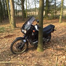 Honda XRV 750 Africa Twin