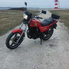 Honda FT 500 (Ascot)