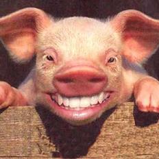 Honda CBR 600 RR7  PC40  ( solgt )