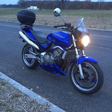 Honda CB 600 F Hornet (SOLGT!)