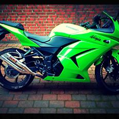 Kawasaki Ninja 250 r