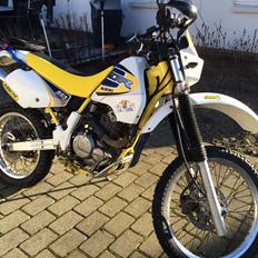 Suzuki DR 350 "SOLGT"
