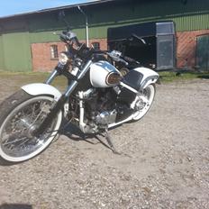 Yamaha xvs 650 Dragstar *Projekt*