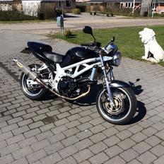 Suzuki SV650N