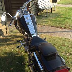 Regal Raptor Spyder 250