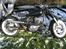 Jinlun Costum Bobber