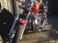 Regal Raptor DD 250 - 9B