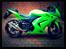 Kawasaki Ninja 250 r