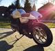 BMW K100 #café