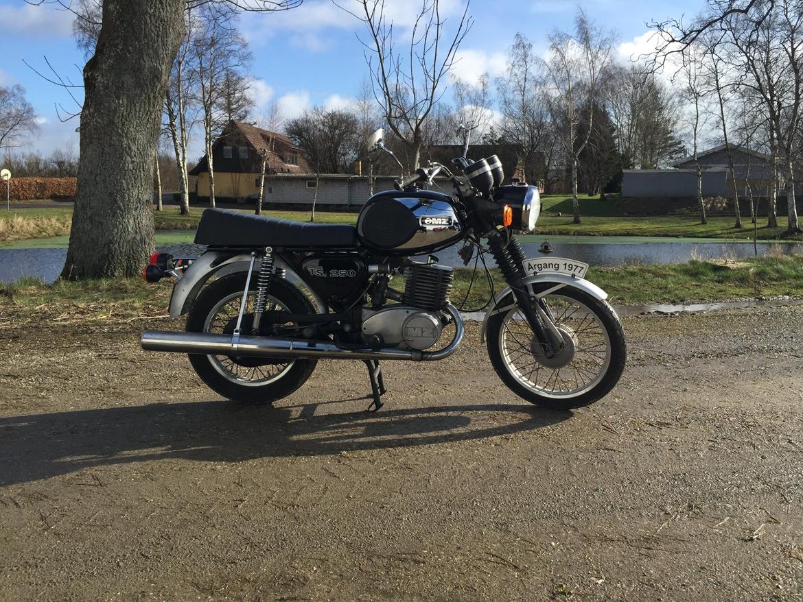 MZ Ts 250 billede 4