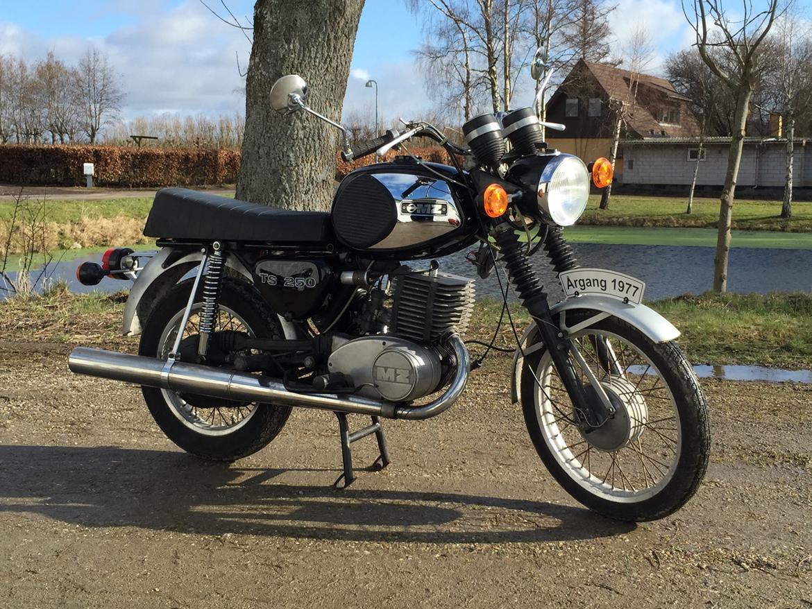 MZ Ts 250 billede 6