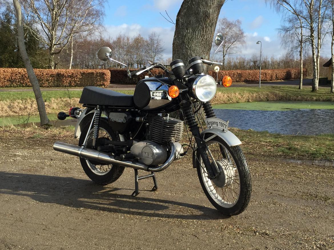 MZ Ts 250 billede 7
