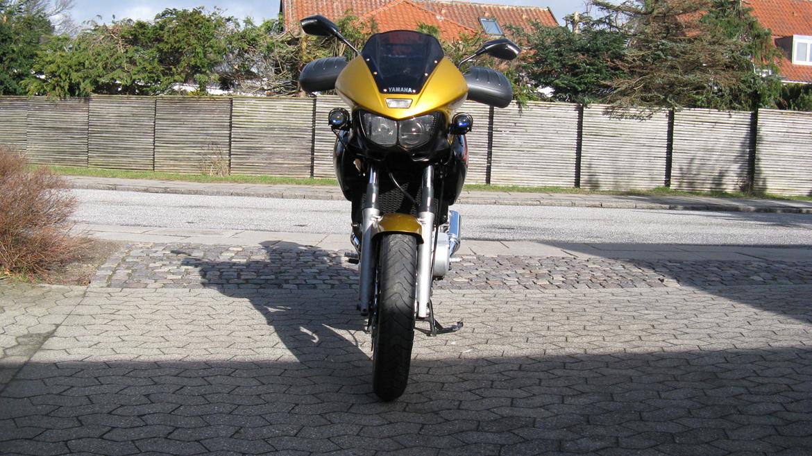 Yamaha TDM 850 - Haha, Den ser lidt bælgøjet ud og med hængeøre... billede 9