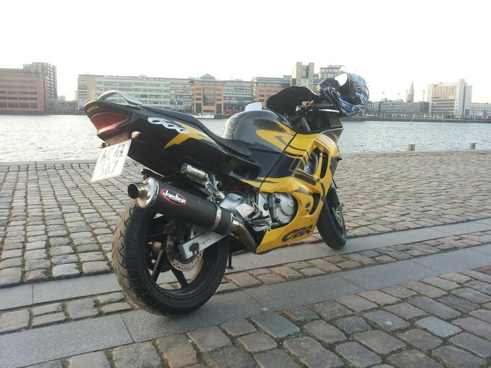 Honda Cbr 600 F3 billede 5