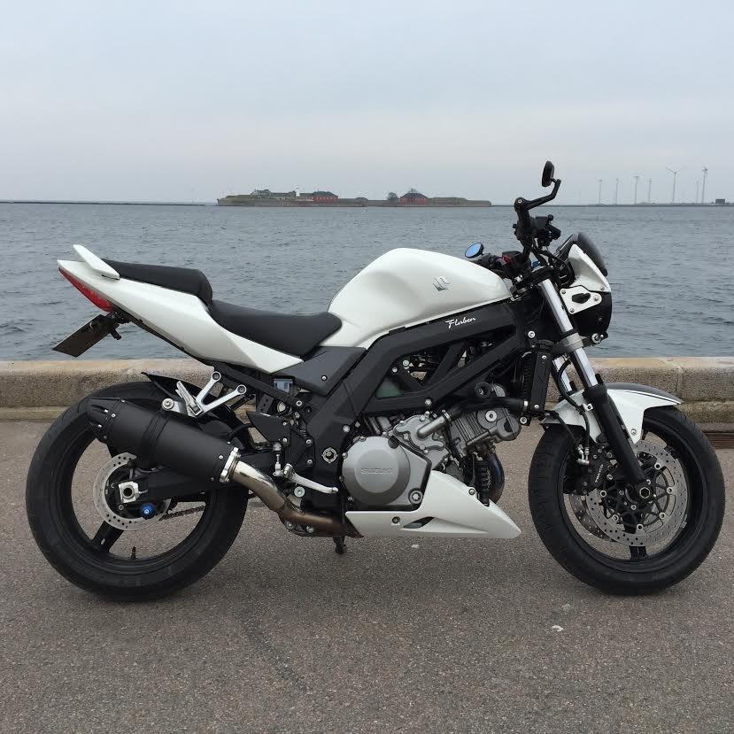 Suzuki SV 1000 N billede 3