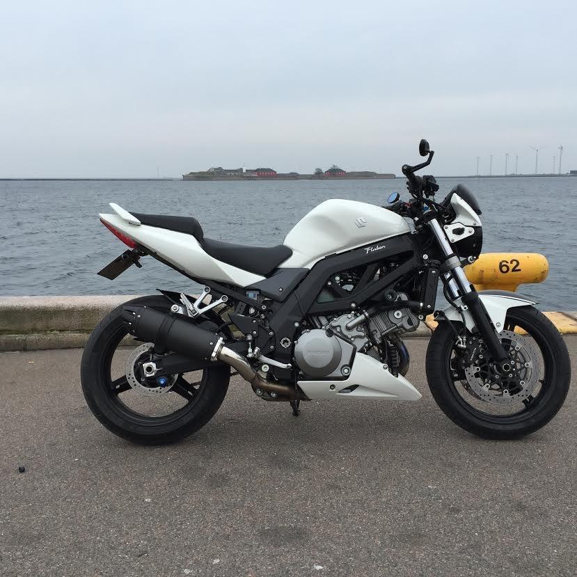 Suzuki SV 1000 N billede 1