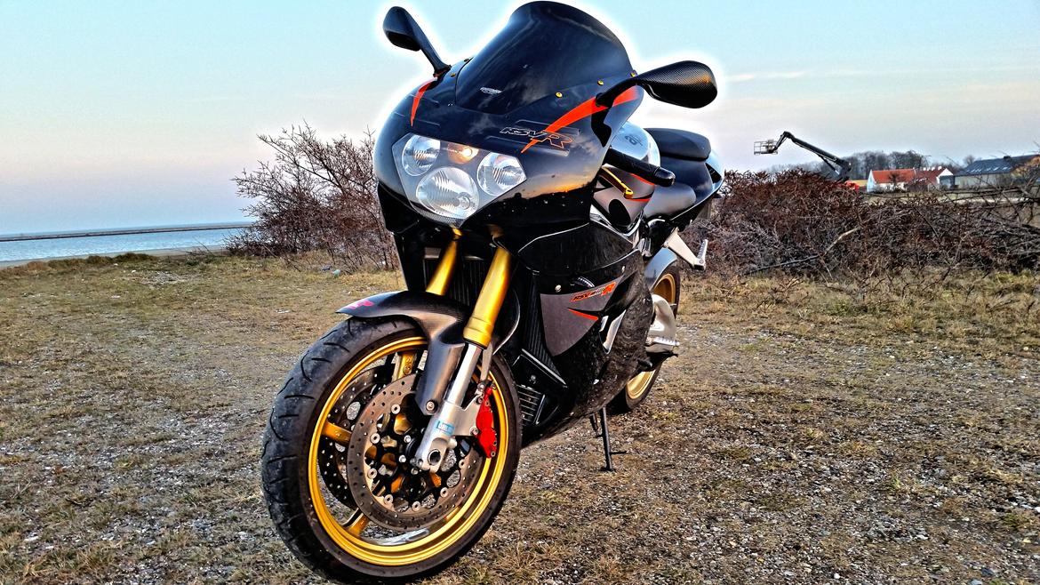 Aprilia RSV 1000R Mille billede 15