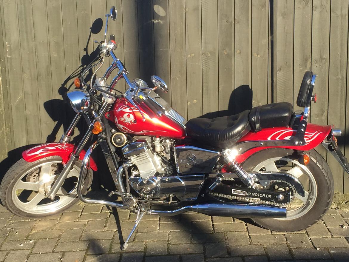 Regal Raptor DD 250 - 9B billede 6