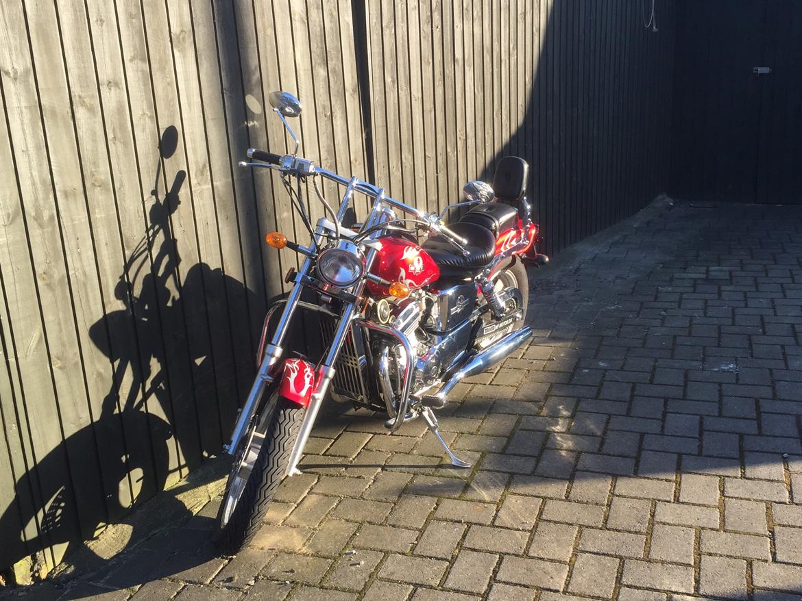 Regal Raptor DD 250 - 9B billede 7