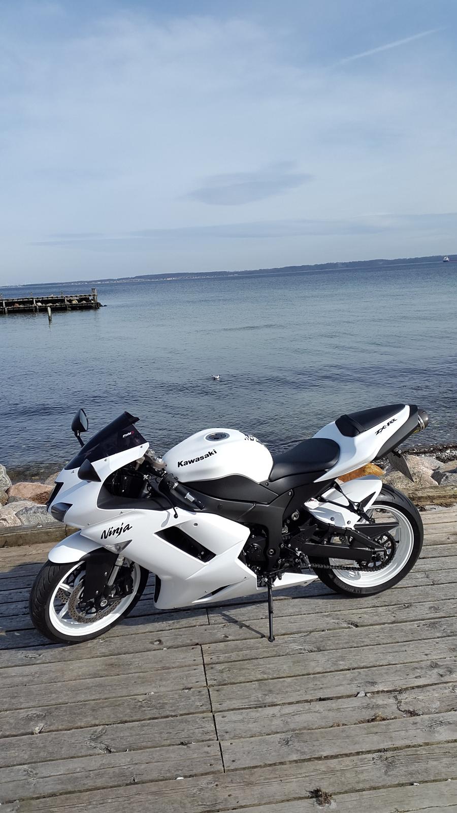 Kawasaki ZX6R NINJA  billede 2