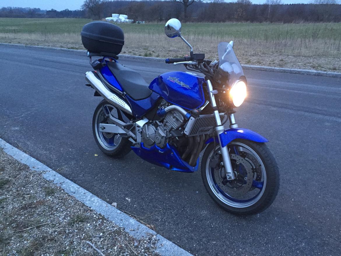 Honda CB 600 F Hornet (SOLGT!) billede 1