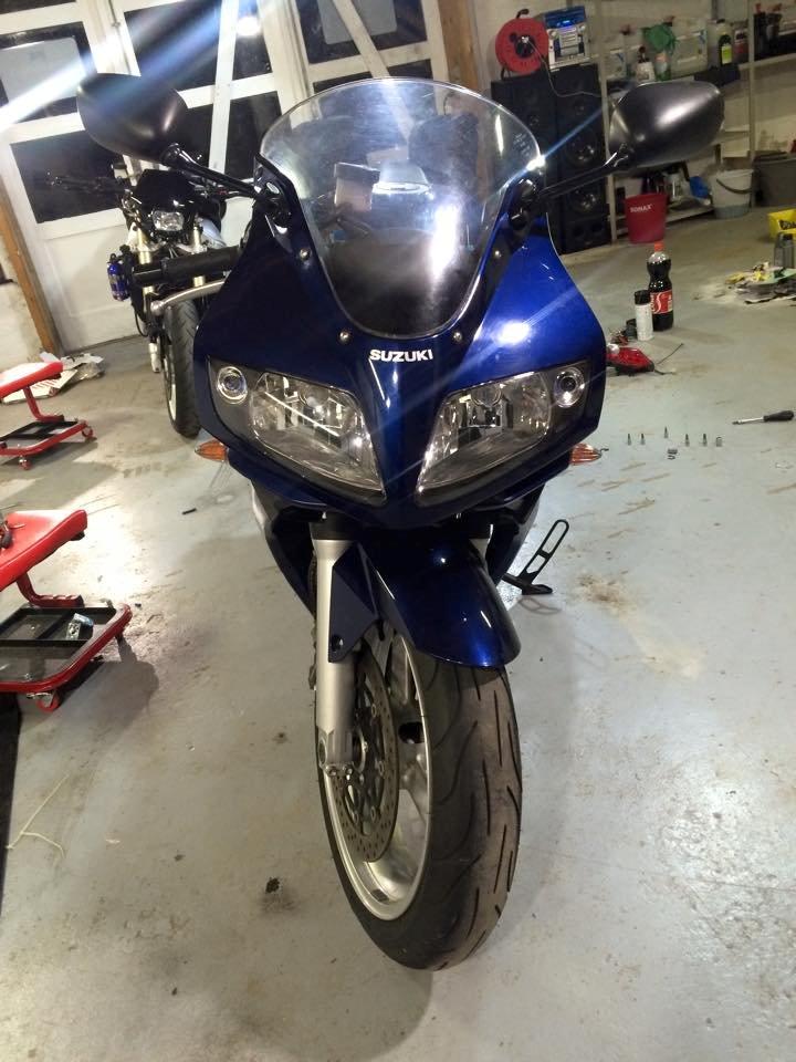 Suzuki SV 1000 S billede 12