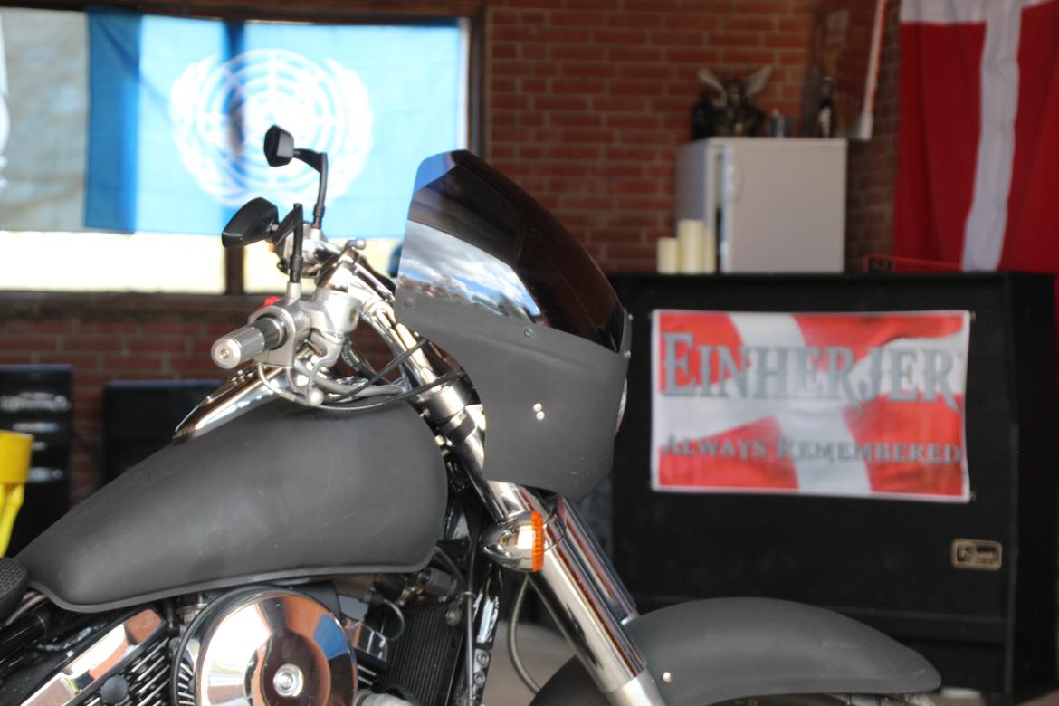 Kawasaki vn800 billede 23