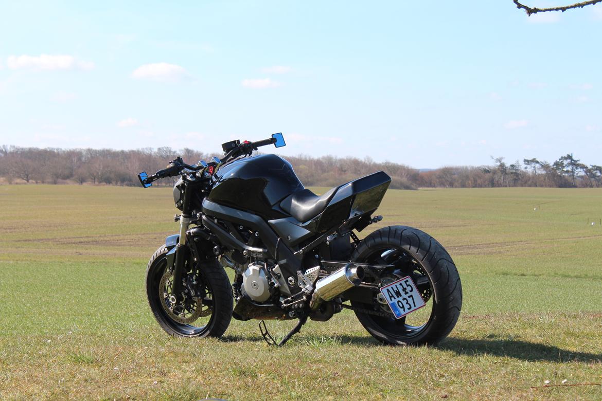 Suzuki SV 1000 K7 Street Billeder af mcer Uploaded af