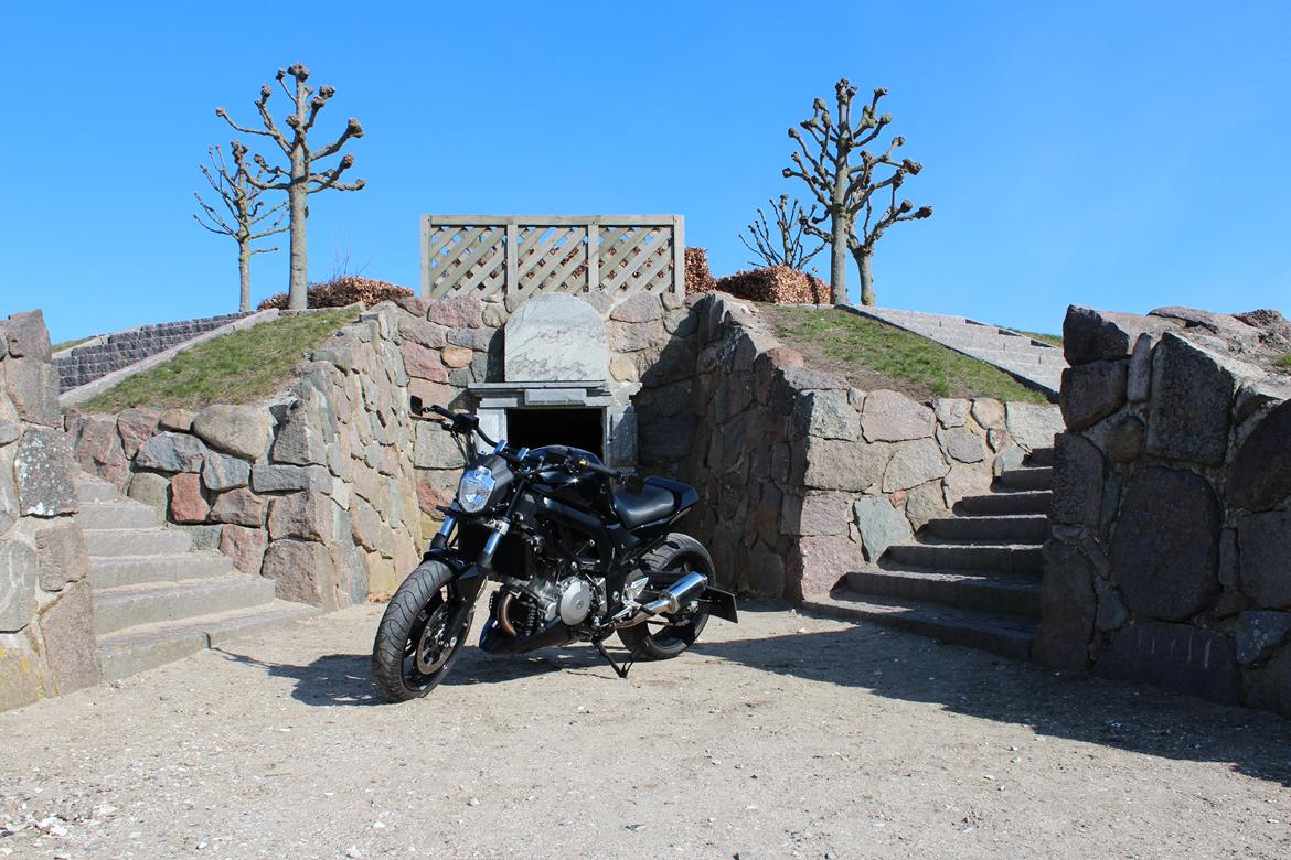 Suzuki SV 1000 K7 Street billede 5