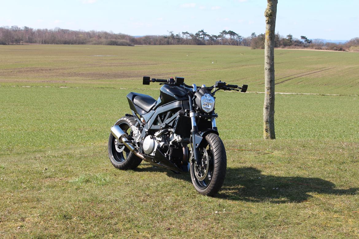 Suzuki SV 1000 K7 Street billede 2